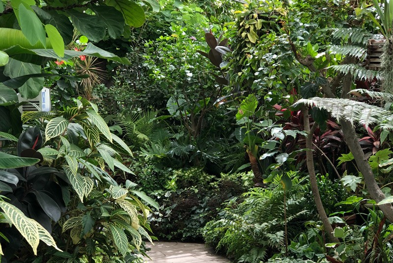 Gardens Kona Reef